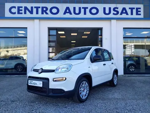 Annonce FIAT PANDA Essence 2022 d'occasion 