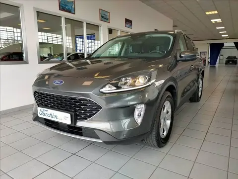 Annonce FORD KUGA Hybride 2021 d'occasion 