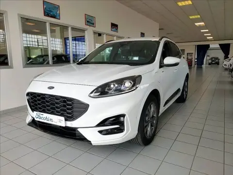 Used FORD KUGA Hybrid 2021 Ad 