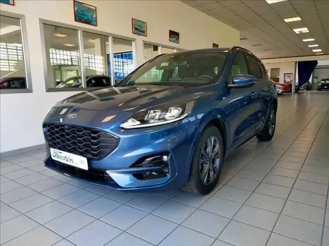 Used FORD KUGA Hybrid 2021 Ad 