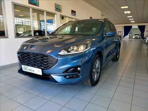 Used FORD KUGA Hybrid 2021 Ad 