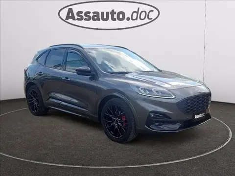 Annonce FORD KUGA Diesel 2023 d'occasion 