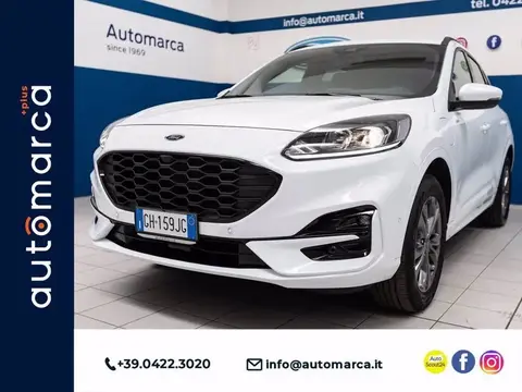 Used FORD KUGA Petrol 2021 Ad 