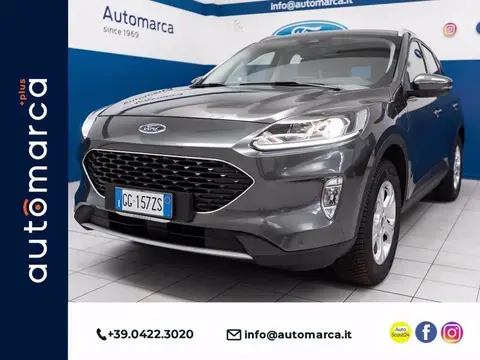 Used FORD KUGA Petrol 2021 Ad 