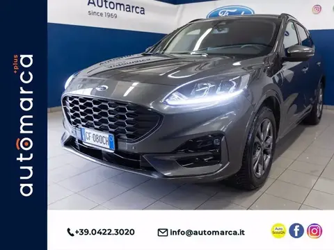 Used FORD KUGA Petrol 2021 Ad 