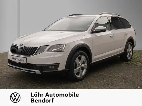 Annonce SKODA OCTAVIA Diesel 2019 d'occasion 