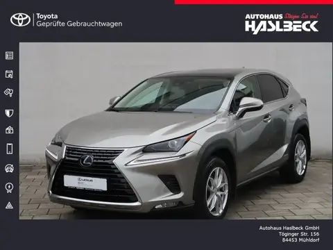 Used LEXUS NX Hybrid 2020 Ad 