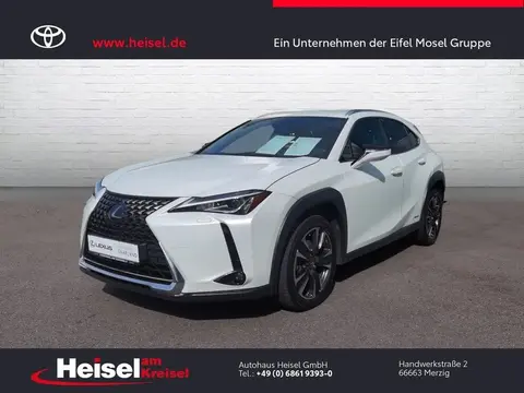 Used LEXUS UX Hybrid 2021 Ad 