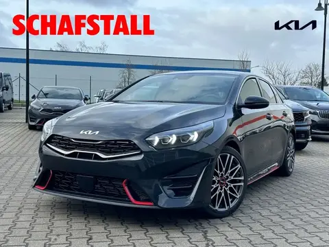 Used KIA PROCEED Petrol 2023 Ad 