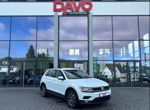 Used VOLKSWAGEN TIGUAN Diesel 2019 Ad 