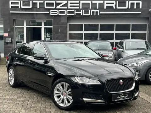 Used JAGUAR XF Diesel 2017 Ad 