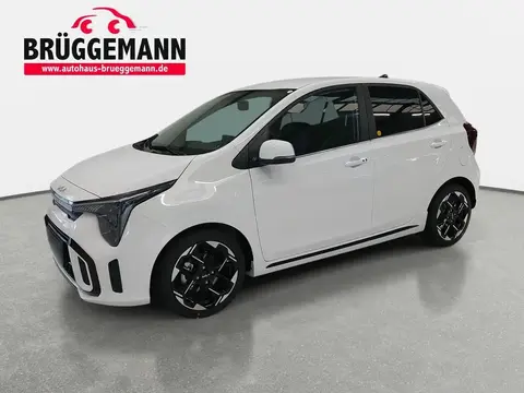 Used KIA PICANTO Petrol 2024 Ad 