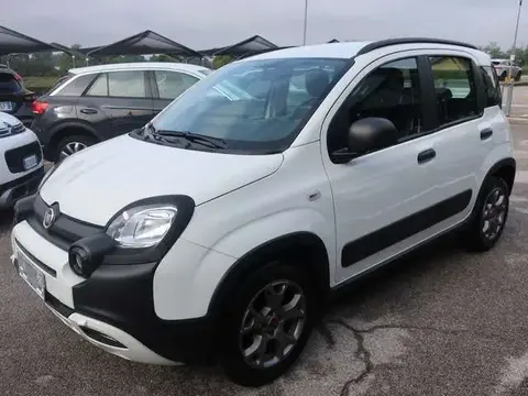 Used FIAT PANDA Petrol 2020 Ad 