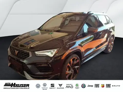 Annonce CUPRA ATECA Essence 2024 d'occasion 