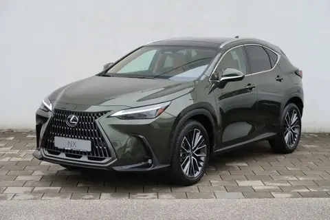 Annonce LEXUS NX Hybride 2024 d'occasion 