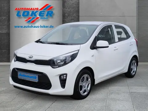 Used KIA PICANTO Petrol 2021 Ad 