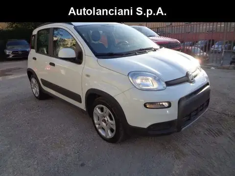 Used FIAT PANDA Hybrid 2022 Ad 