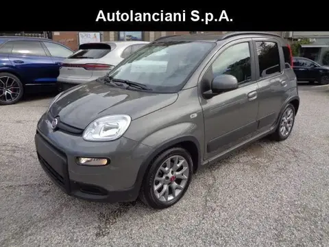 Used FIAT PANDA Hybrid 2022 Ad 