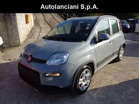 Used FIAT PANDA Hybrid 2023 Ad 