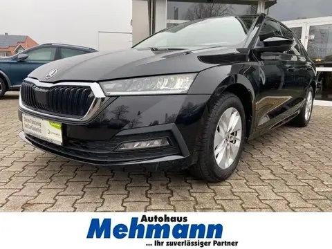 Used SKODA OCTAVIA Petrol 2021 Ad 