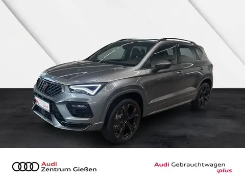 Annonce CUPRA ATECA Essence 2024 d'occasion 