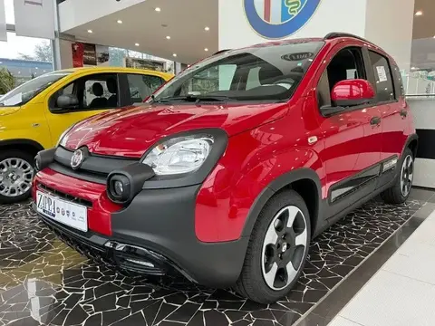 Used FIAT PANDA Hybrid 2024 Ad 