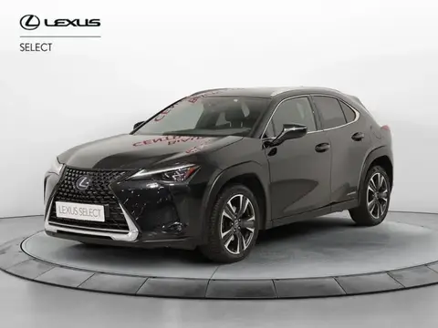 Used LEXUS UX Hybrid 2021 Ad 