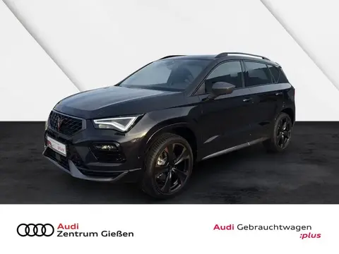 Annonce CUPRA ATECA Essence 2024 d'occasion 