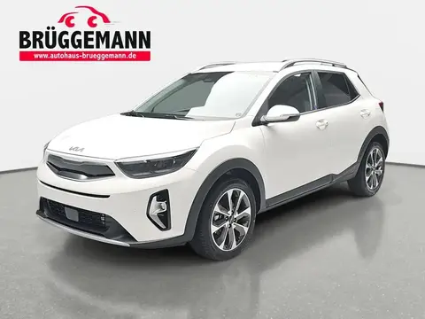 Annonce KIA STONIC Essence 2024 d'occasion 