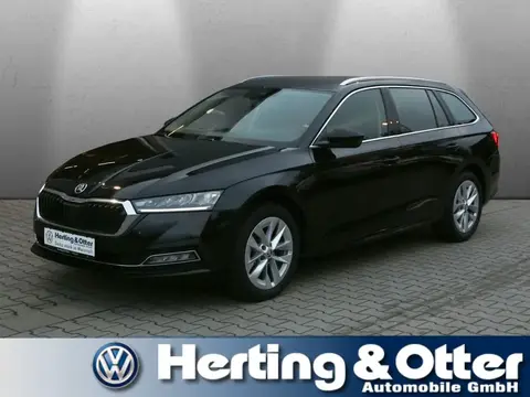 Used SKODA OCTAVIA Petrol 2023 Ad 