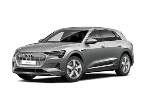 Annonce AUDI E-TRON Non renseigné 2022 d'occasion 