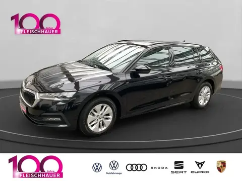 Used SKODA OCTAVIA Petrol 2021 Ad 