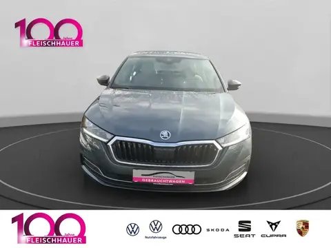 Annonce SKODA OCTAVIA Diesel 2020 d'occasion 