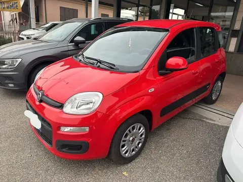 Annonce FIAT PANDA Essence 2021 d'occasion 