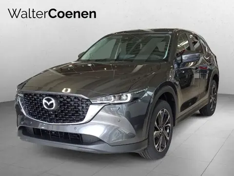 Annonce MAZDA CX-5 Essence 2024 d'occasion 