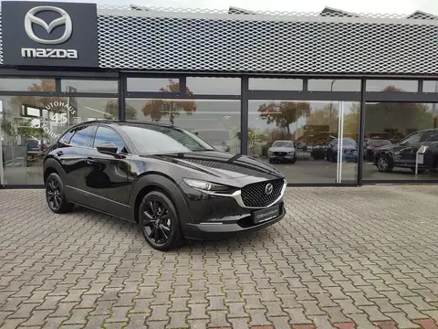 Annonce MAZDA CX-30 Essence 2024 d'occasion 