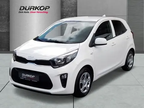 Used KIA PICANTO Petrol 2024 Ad 