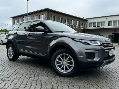 Used LAND ROVER RANGE ROVER EVOQUE Diesel 2016 Ad 