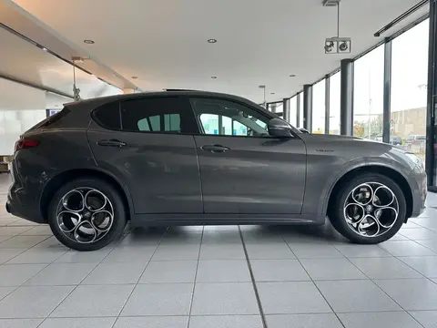 Used ALFA ROMEO STELVIO Diesel 2020 Ad 