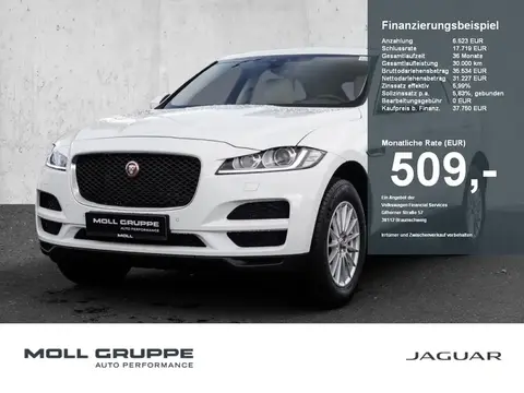 Used JAGUAR F-PACE Diesel 2020 Ad 