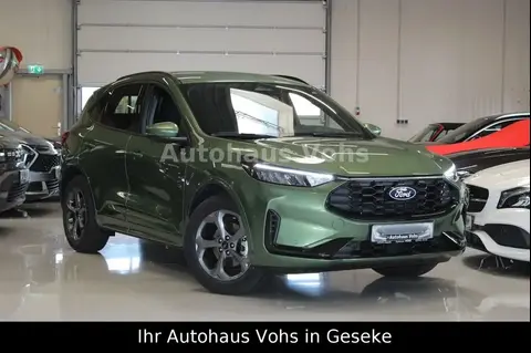 Annonce FORD KUGA Essence 2024 d'occasion 