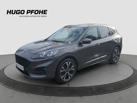 Used FORD KUGA Petrol 2021 Ad 