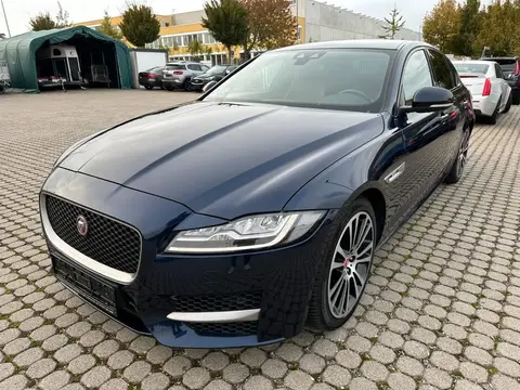 Annonce JAGUAR XF Diesel 2017 d'occasion 