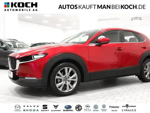 Used MAZDA CX-30 Petrol 2023 Ad 