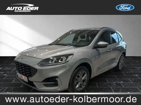 Used FORD KUGA Diesel 2020 Ad 