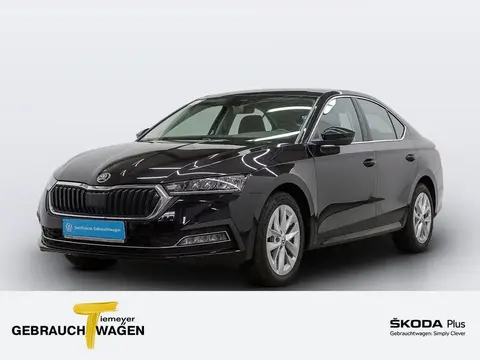 Annonce SKODA OCTAVIA Diesel 2020 d'occasion 