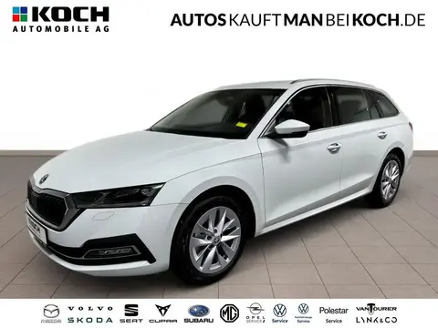 Annonce SKODA OCTAVIA Essence 2024 d'occasion 