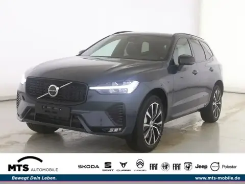 Annonce VOLVO XC60 Essence 2024 d'occasion 