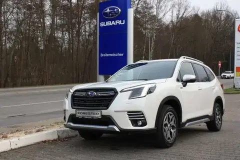 Annonce SUBARU FORESTER Essence 2023 d'occasion 