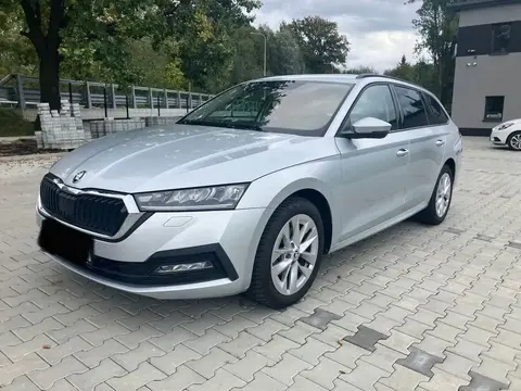 Annonce SKODA OCTAVIA Diesel 2023 d'occasion 